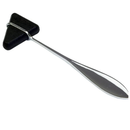 Martillo Taylor 20 cm